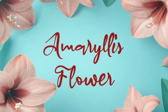 Amaryllis Flower Font: Elevating Campaign Visuals