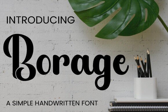 Borage Font Review: Elevating Campaign Visuals