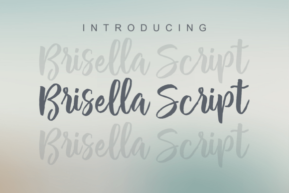 Brisella Script Font: Elevating Campaign Visuals