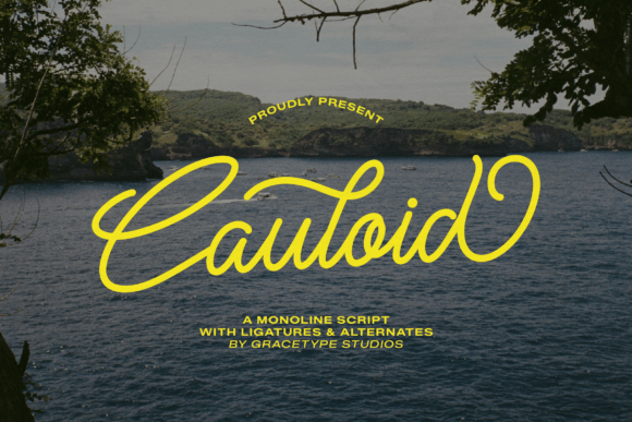 Cauloid Font: Elevating Small Business Branding